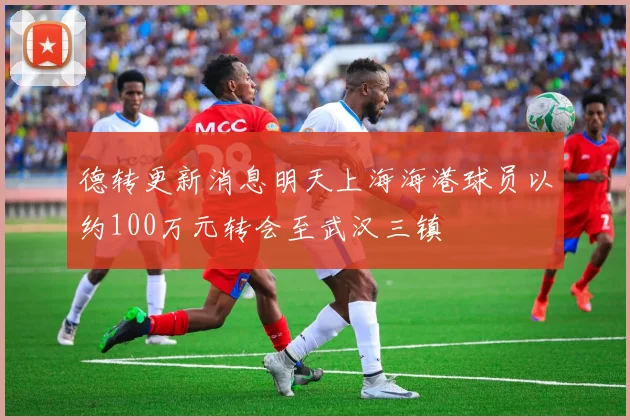 德转更新消息明天上海海港球员以约100万元转会至武汉三镇