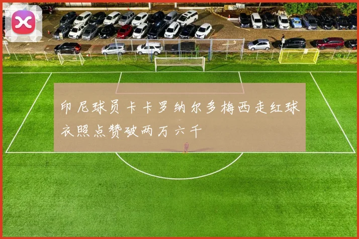 印尼球员卡卡罗纳尔多梅西走红球衣照点赞破两万六千