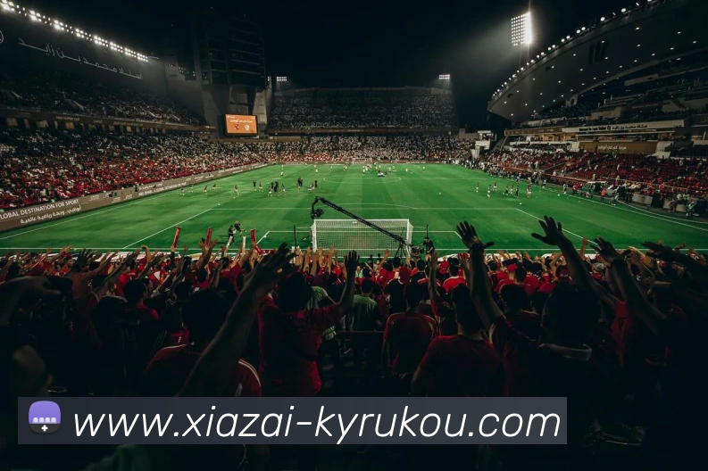 开云体育APP 高清赛事图