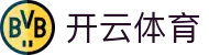 开云·体育(kaiyun)官方网站_KAIYUNSPORTS